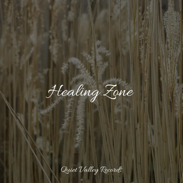 Healing Zone