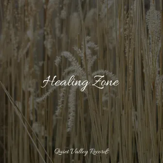 Healing Zone by Binaural Creations