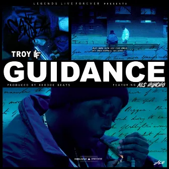 Guidance by Troyllf