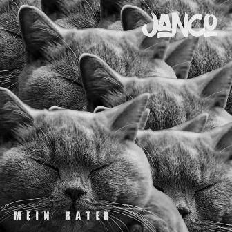 Mein Kater by Janco