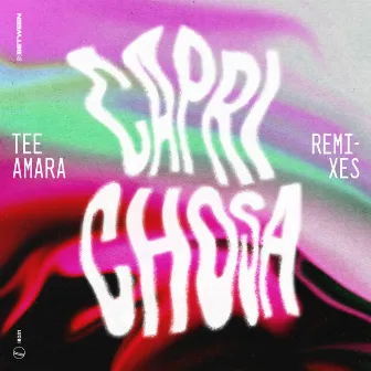 Caprichosa (Remixes) by Tee Amara