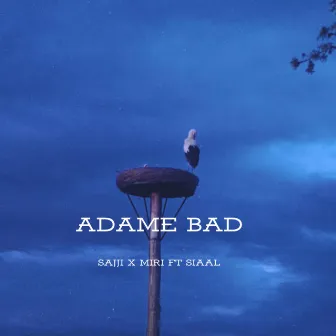 Adame Bad by Siaal