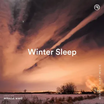 Winter Sleep by Sleep Music MW