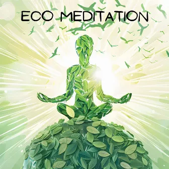 Eco Meditation by Green Noise!