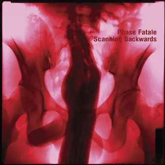 Scanning Backwards by Phase Fatale