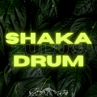 Shaka Zulu’s Drum by Kavali King