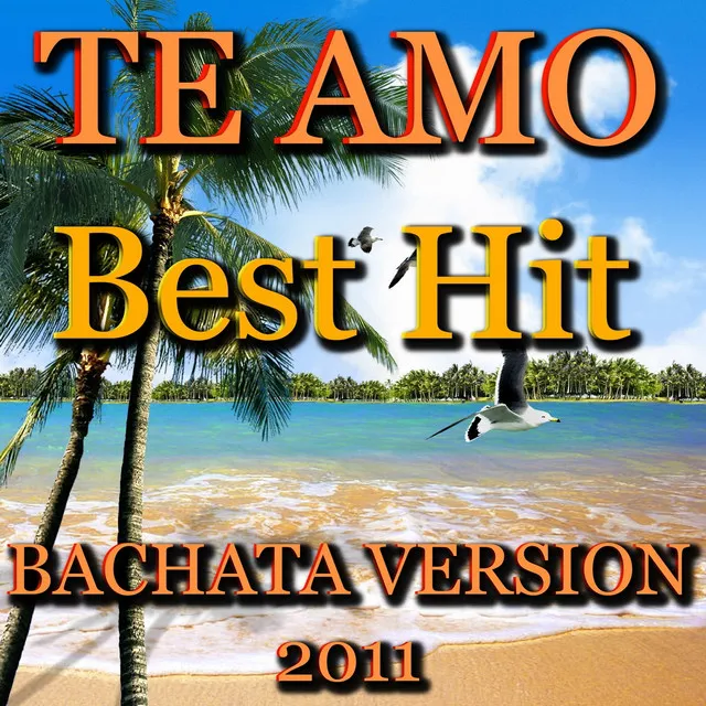 Te Amo - Bachata Version