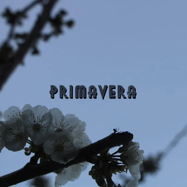 Primavera