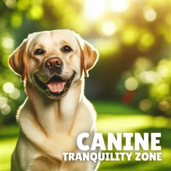 Canine Tranquility Zone by Restorative Music Universe