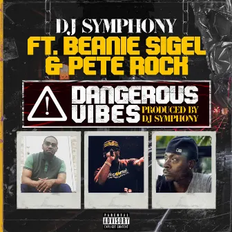 Dangerous Vibes by DJ Symphony