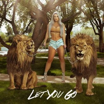 Let You Go by Laci Kay Somers