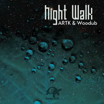 Night Walk by Woodub