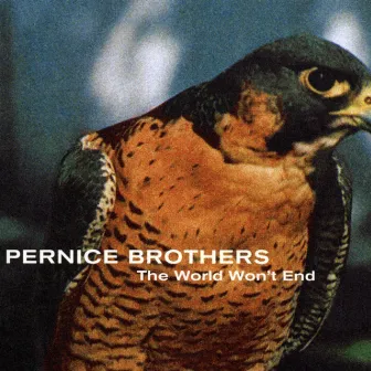 The World Won't End by Pernice Brothers