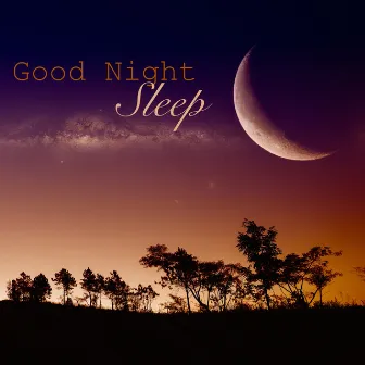 Good Night Sleep - Relaxing Sleep Music & Soothing Nature Sounds for Good Restful Sleep by Unknown Artist