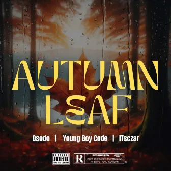 Autumn Leaf by Young Boy Code