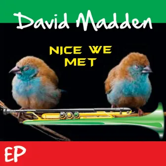 Nice We Met by David Madden