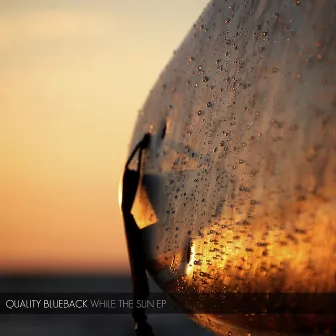 While The Sun EP by Quality Blueback