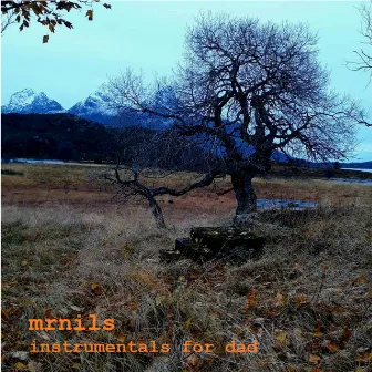 Instrumentals for dad by mrnils