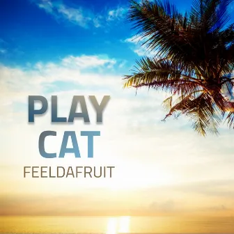 Play Cat by Feeldafruit