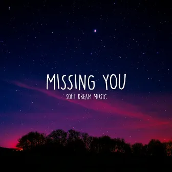 Missing You by Unknown Artist