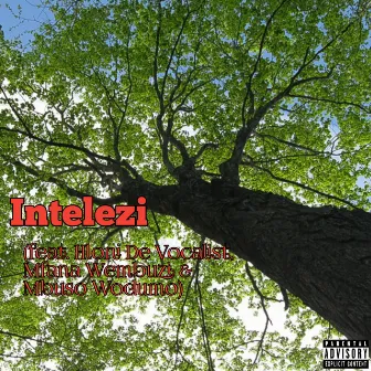 Intelezi by Bongo