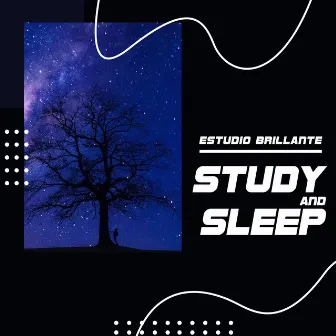 Study and Sleep by Estudio Brillante