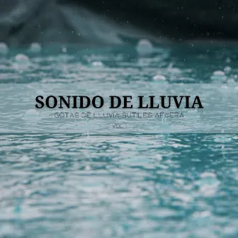 Sonido De Lluvia: Gotas De Lluvia Sutiles Afuera Vol. 1 by Ruido Blanco Para Estudiar