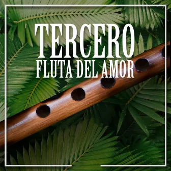 Fluta Del Amor by Tercero