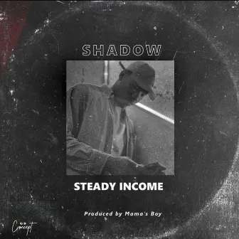 Steady Income by Shadow