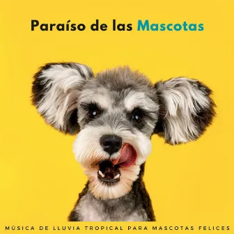 Paraíso De Las Mascotas: Música De Lluvia Tropical Para Mascotas Felices by Mascotas