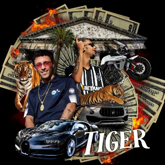 Tiger by Cidim