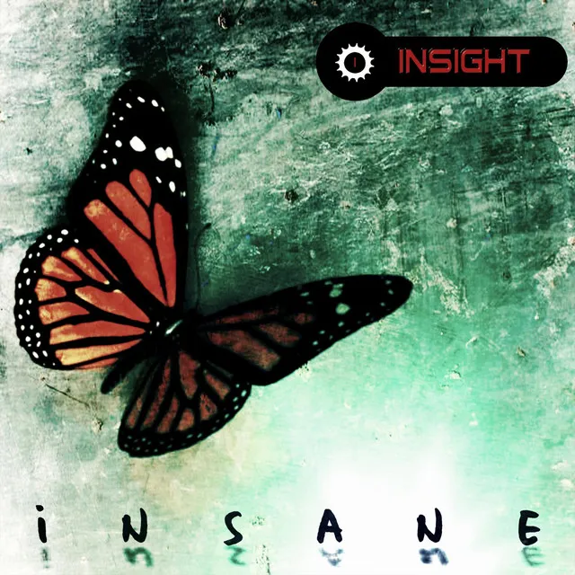 Insane (After The Rain Remix)