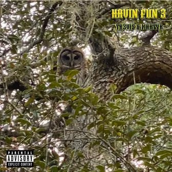 Havin' Fun 3 by Tr3vis