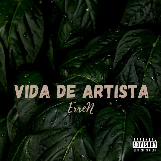 Vida de Artista