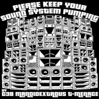 Please Keep Your Soundsystem Pumping by C3B