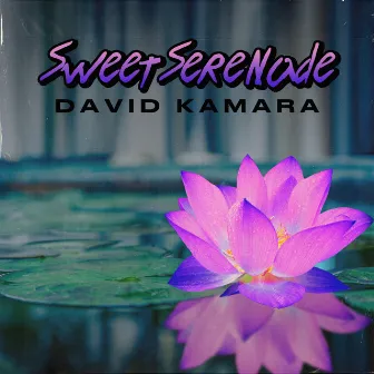 Sweet Serenade by David Kamara