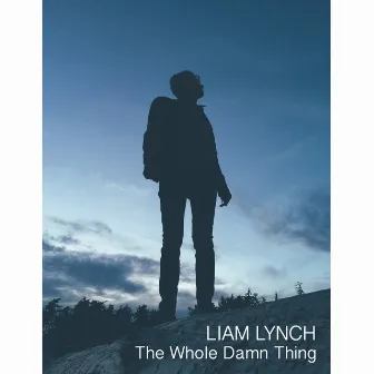 The Whole Damn Thing by Liam Lynch