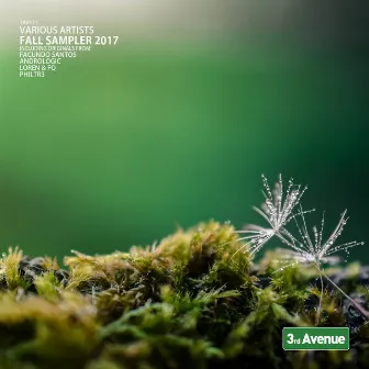 Fall Sampler 2017 by Andrologic