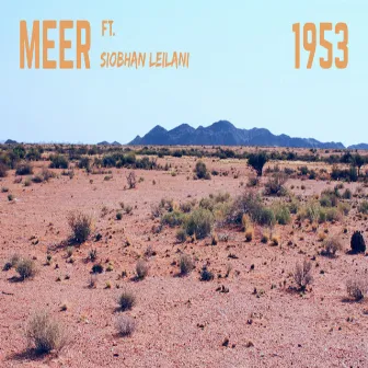 1953 by Meer