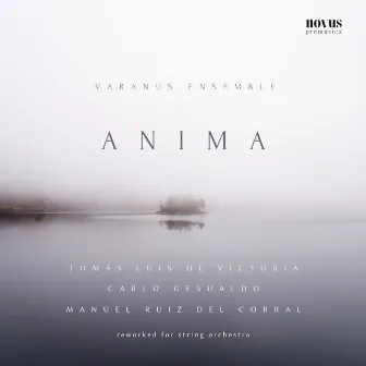 Anima: Victoria, Gesualdo and Ruiz del Corral Reworked for String Orchestra by Manuel Ruiz Del Corral