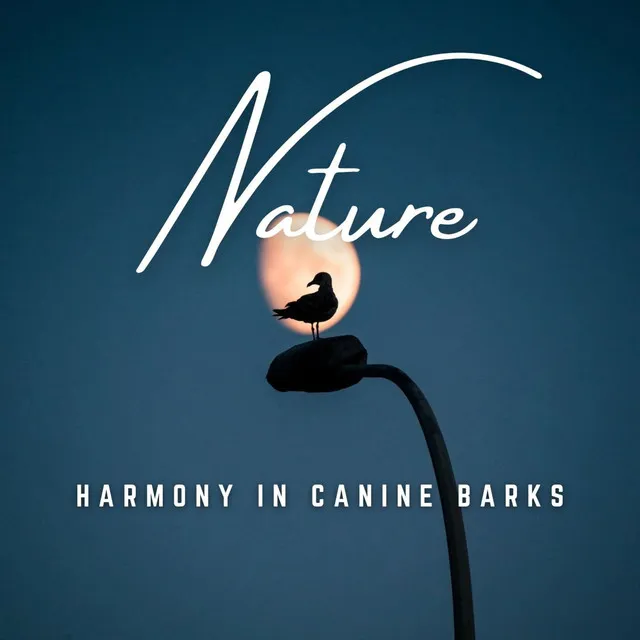 Gentle Serenades for Your Dog's Bark