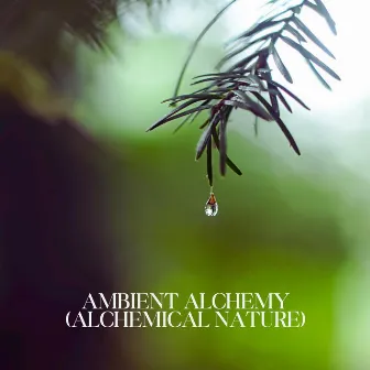 Ambient Alchemy (Alchemical Nature) by Irma Leko