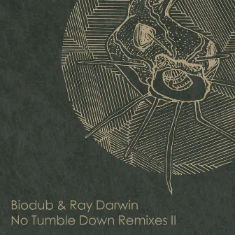 No Tumble Down Remixes 2 by Biodub