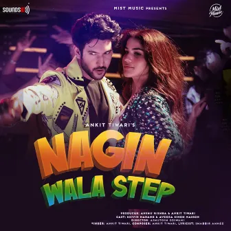 Nagin Wala Step by Shabbir Ahmed