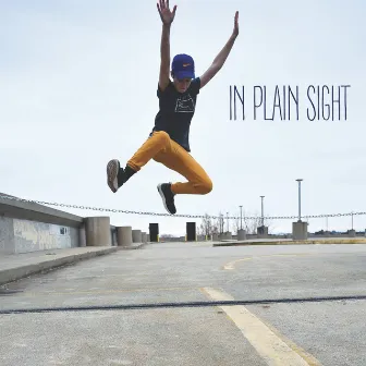 In Plain Sight by Zola Simone