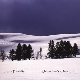 December's Quiet Joy by John Floridis