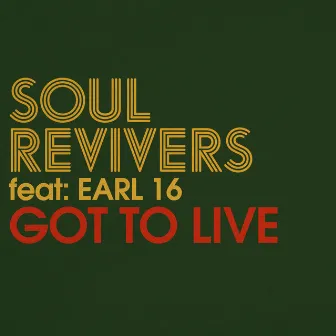 Got to Live by Soul Revivers