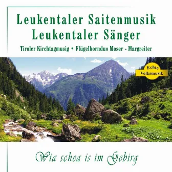 Wia schea is im Gebirg by Leukentaler Saitenmusik