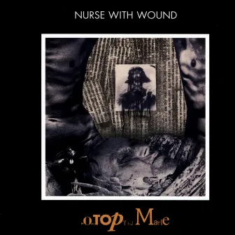 Homotopy to Marie by Nurse With Wound