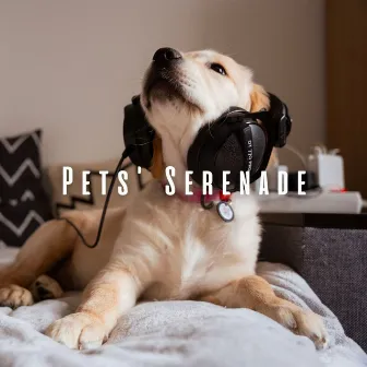 Pets' Serenade: Ambient Music Symphony by elektrovendetta